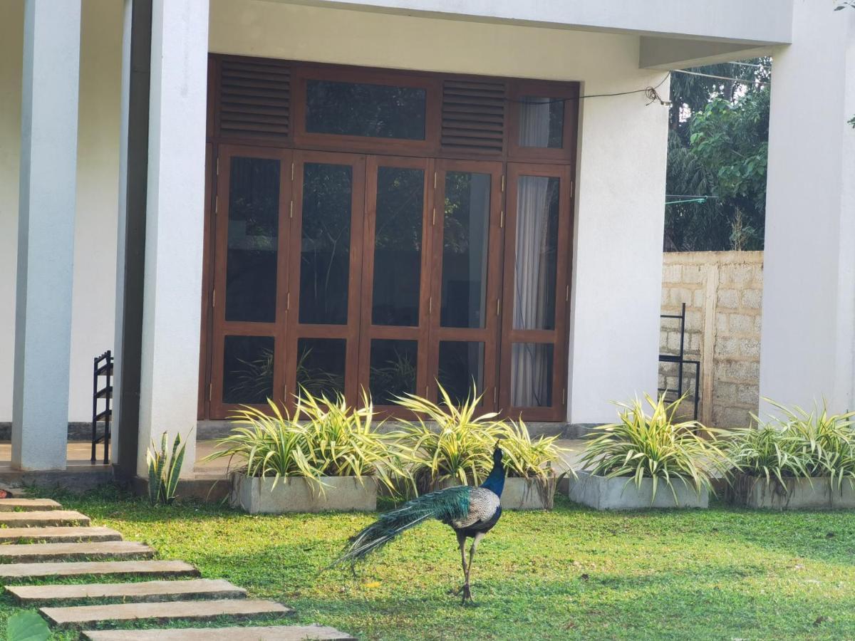 Ruwinsons Canal Garden Anuradhapura Exterior photo