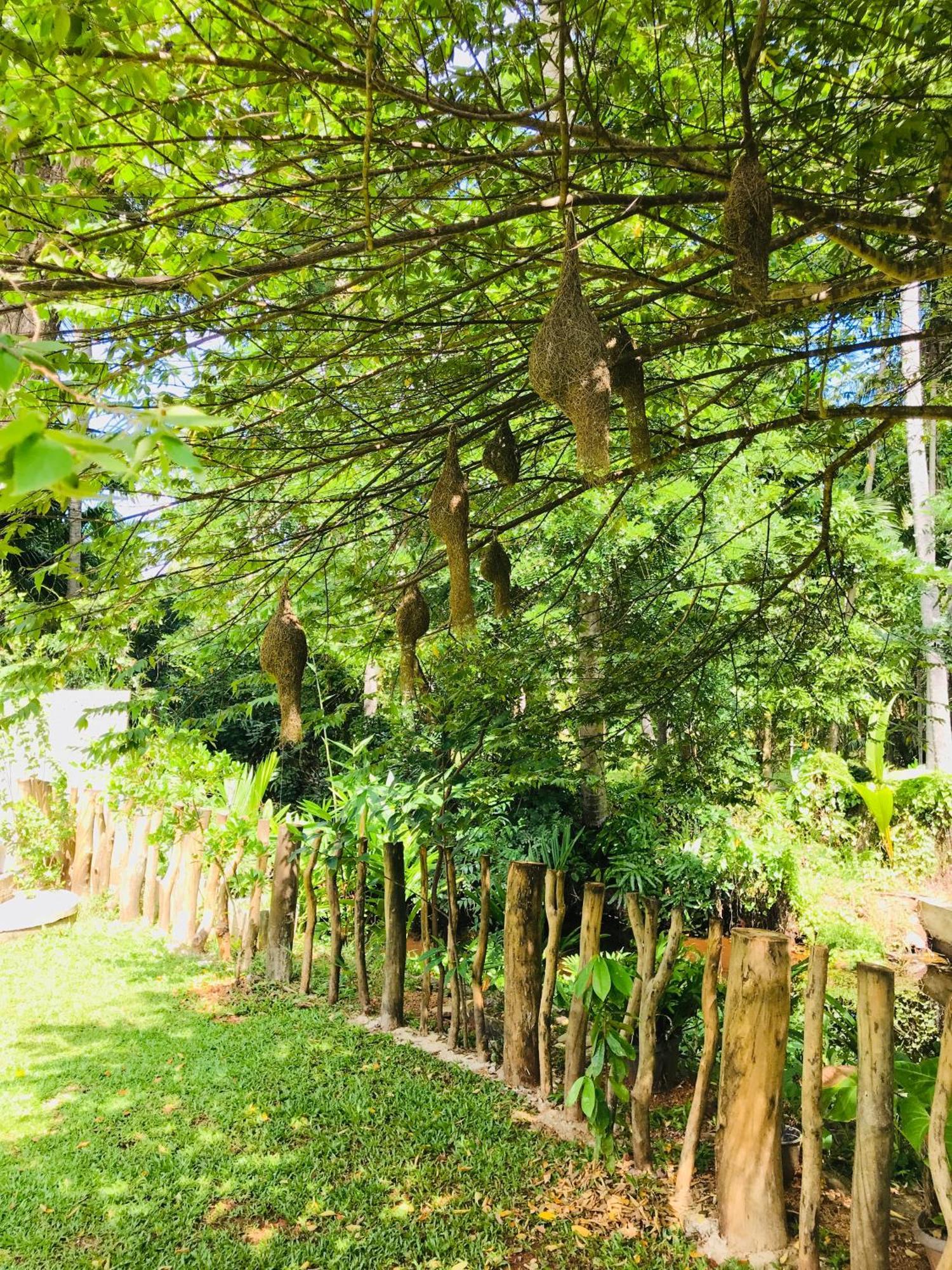 Ruwinsons Canal Garden Anuradhapura Exterior photo